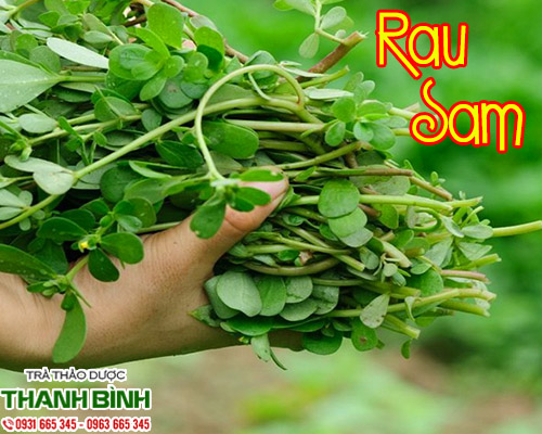 rau-sam.jpg