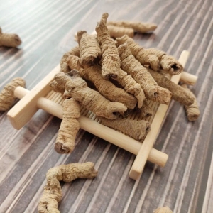 TĂNG CƯỜNG SINH LÝ 