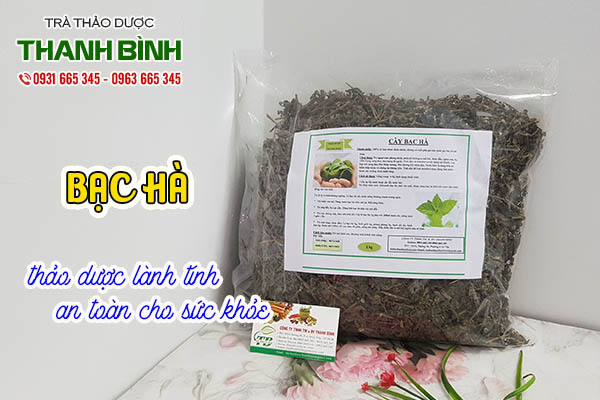 bạc hà thảo dược thanh bình