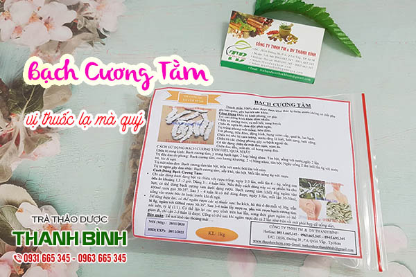 bạch cương tằm thảo dược thanh bình