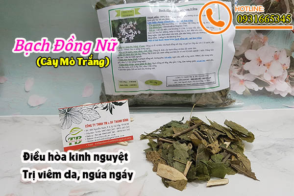 bạch đồng nữ thảo dược thanh bình