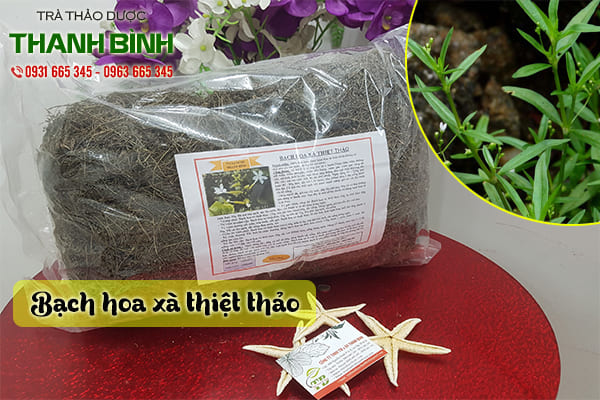 bạch hoa xà thiệt thảo thảo dược thanh bình