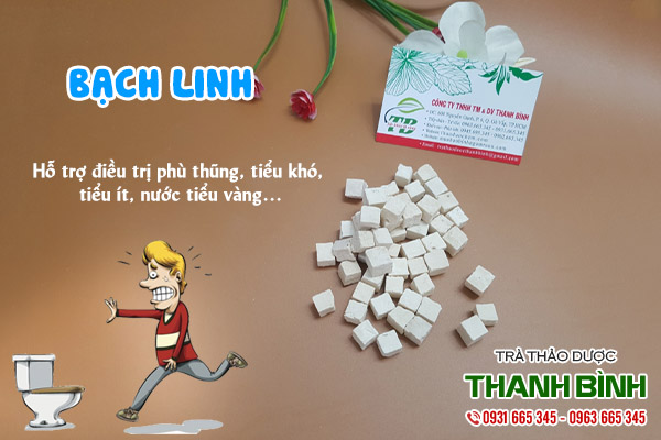 bạch linh tại thảo dược Thanh Bình