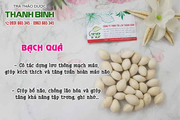 bạch quả tại thảo dược Thanh Bình