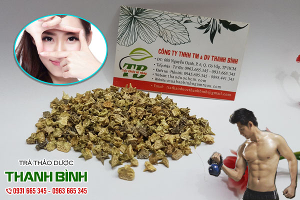 bạch tật lê tại thảo dược Thanh Bình