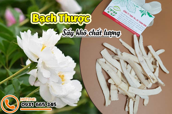 bạch thược thảo dược thanh bình