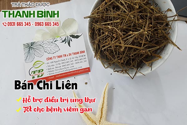 bán chi liên thảo dược thanh bình