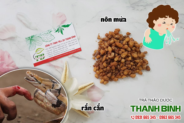 bán hạ tại thảo dược Thanh Bình