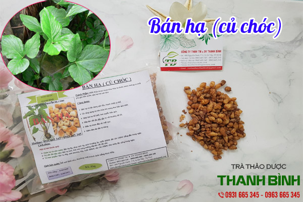 bán hạ tại thảo dược Thanh Bình