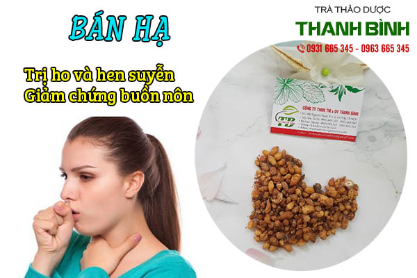 bán hạ thảo dược thanh bình