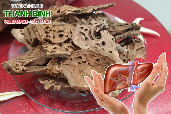 cây bí kỳ nam thảo dược thanh bình