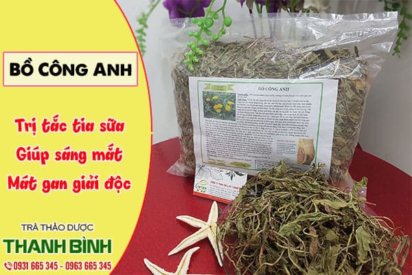 bồ công anh thảo dược thanh bình