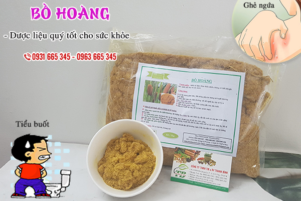 Bồ hoàng Thảo Dược Thanh Bình