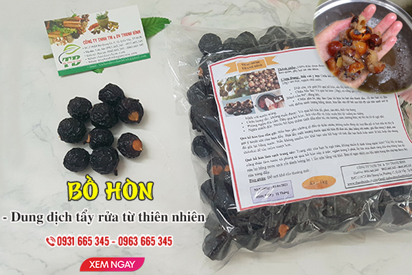 Bồ hòn Thảo Dược Thanh Bình