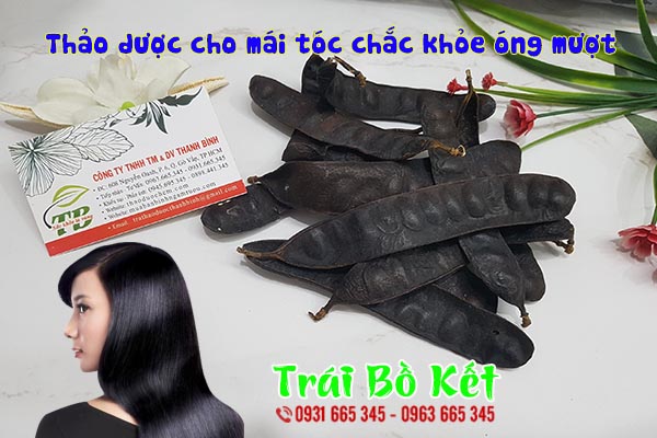 bồ kết thảo dược thanh bình