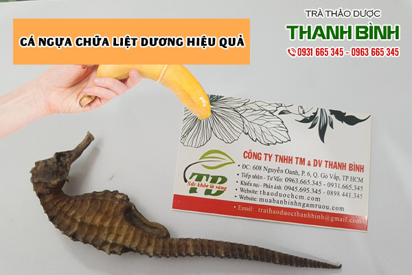 cá ngựa tại thảo dược Thanh Bình