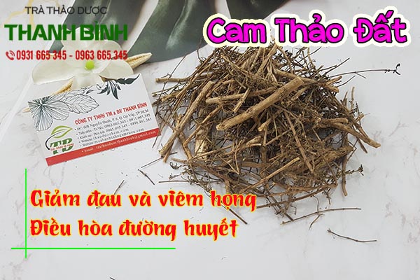 cam thảo đất thảo dược thanh bình