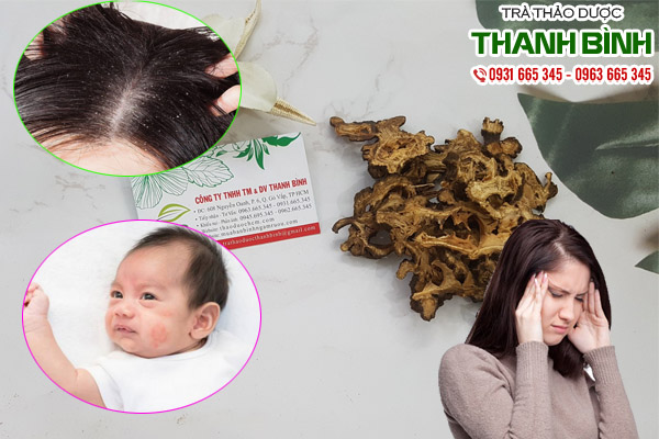 cảo bản tại thảo dược thanh bình