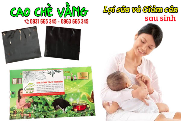 cao chè vằng thảo dược thanh bình