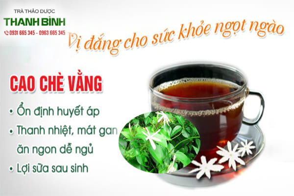 cao chè vằng