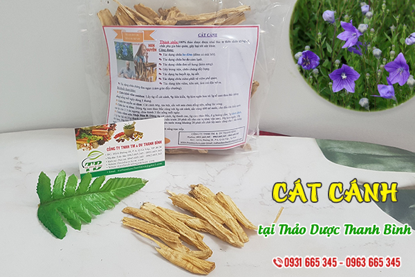 Cát cánh Thảo Dược Thanh Bình