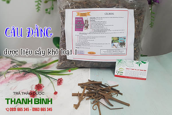 câu đằng thảo dược thanh bình