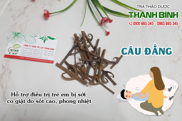 câu đằng tại thảo dược Thanh Bình