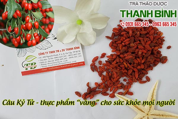 câu kỷ tử thảo dược thanh bình