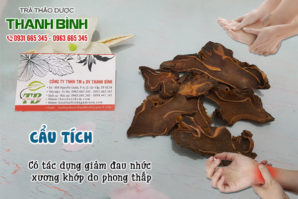 cẩu tích tại thảo dược Thanh Bình