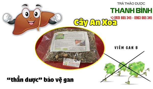 cây an xoan thảo dược thanh bình