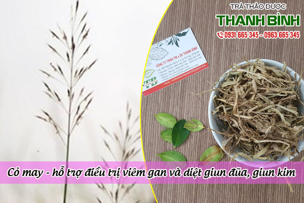 cỏ may thảo dược thanh bình