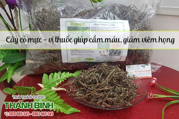 cây cỏ mực thảo dược thanh bình