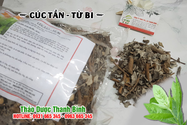 cây cúc tần tại thảo dược Thanh Bình