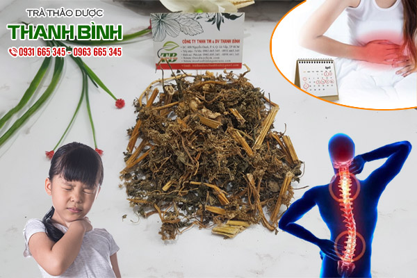 cây dền gai tại thảo dược Thanh Bình