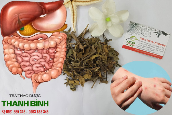cây hoàn ngọc tại thảo dược thanh bình