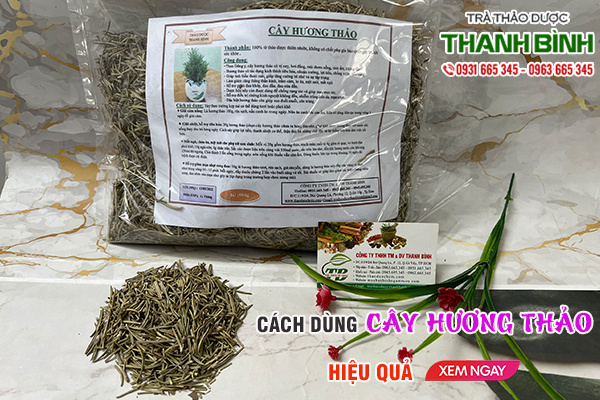 Cây hương thảo Thảo Dược Thanh Bình