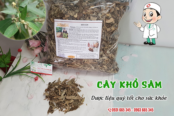 Cây khổ sâm Thảo Dược Thanh Bình