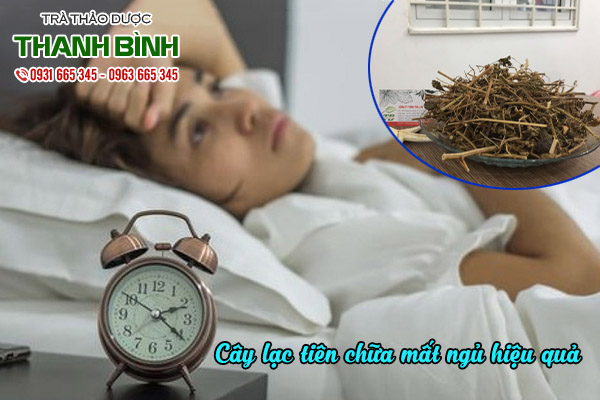 cây lạc tiên thảo dược thanh bình