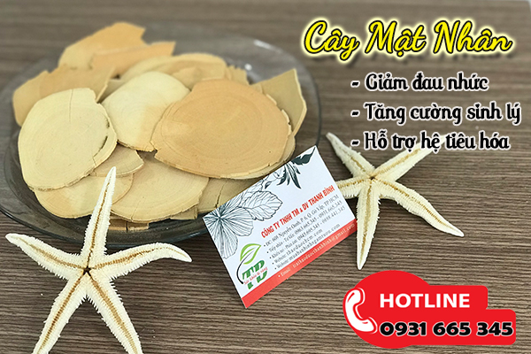 cây mật nhân thảo dược thanh bình