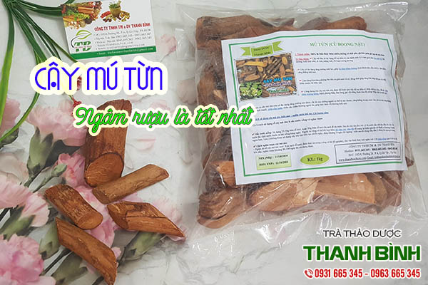 cây mú từn thảo dược thanh bình