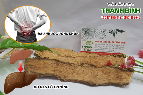 cây mướp gai thảo dược thanh bình