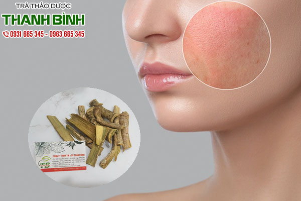 cây núc nác tại thảo dược Thanh Bình