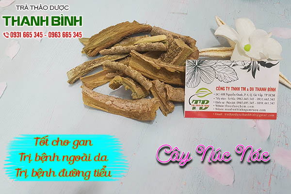 cây núc nác thảo dược thanh bình