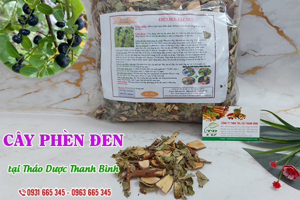 Cây phèn đen Thảo Dược Thanh Bình