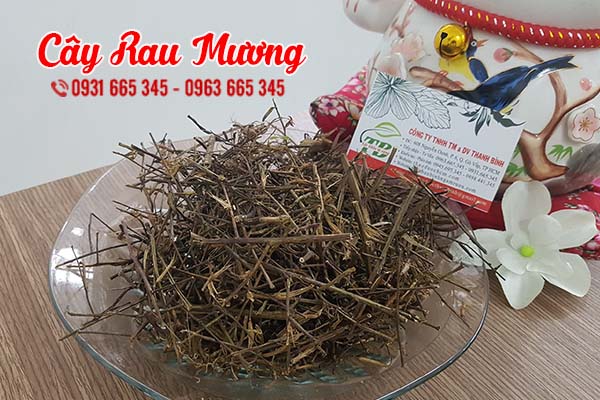 cây rau mương thảo dược thanh bình