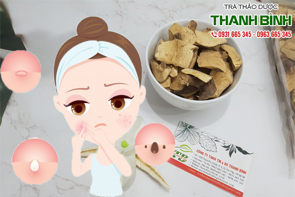 cây sơn tại thảo dược Thanh Bình