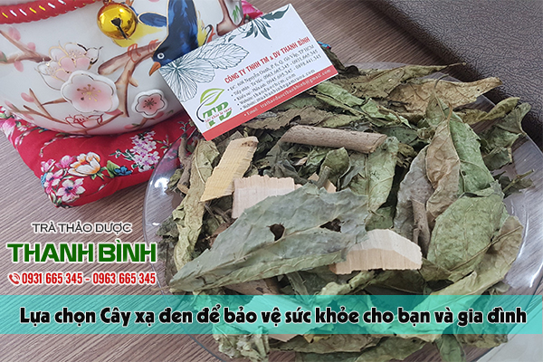 cây xạ đen thảo dược thanh bình