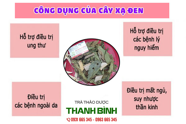 cây xạ đen tại thảo dược thanh binh