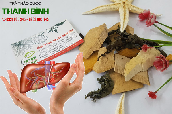 cây lá gan thảo dược thanh bình