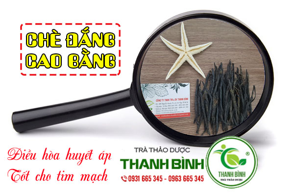 chè đắng thảo dược thanh bình